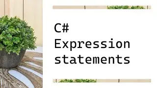 C# Expression statements