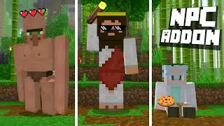 2 АДДОНА НА NPC В MINECRAFT BE | PE