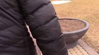 April Weather Brings Tears