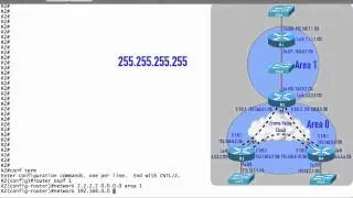 Basic OSPF Configuration Example