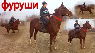 КАРАБАЙ АСПИ ФУРУШИ СРОЧНА января 2025 г.АСПБОЗОР АРЗОН ОТБОЗОР молбозор хучанд худжанд