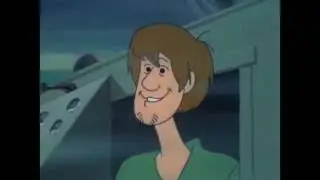 Super Shaggy Sandwich