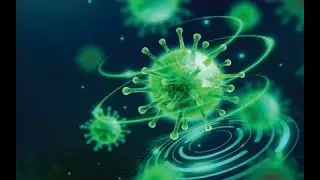 Nikita Nekrasov - Session II: Quantum Field Theory