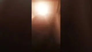 24 ноября 2023 г.