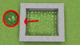 MINI Creeper VS Mini Cat