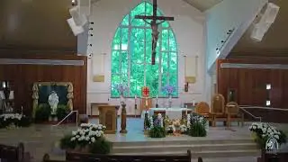 Daily Mass