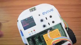 evive's User Defined Functions