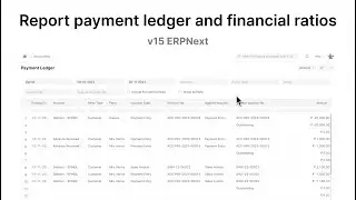 Report payment ledger and financial ratios | ERPNext v15