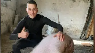 РЕЗУЛЬТАТИ НА ГОРОСІ🤨/БЕЗ ПРЕМІКСІВ І БМВД/СВИНАРСТВО