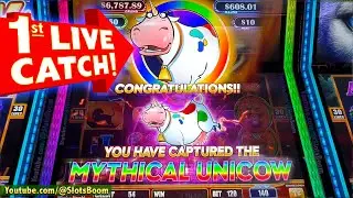 1st LIVE UNICOW!!! on LION EYES SLOT BONUS! FREE GAMES & RE-TRIGGER - CASINO SLOT @Yaamava