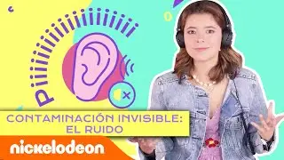 ¿Qué es la contaminación auditiva? 🎧 | Planeta Bala | Nickelodeon en Español