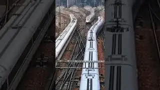 Встреча на скорости