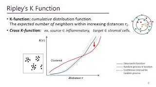 MCSpatNet: Multi-Class Cell Detection Using Spatial Context Representation - ICCV 2021 (Oral)