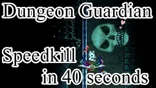 Terraria - Expert Dungeon Guardian Speedkill in 40 seconds