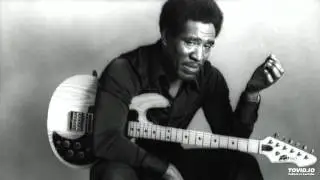 JOHNNY COPELAND - Texas Party [1989]