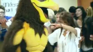 Mo the Hawk is Coming to Town