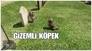 GİZEMLİ KÖPEK ! GTA 5 SIRLARI