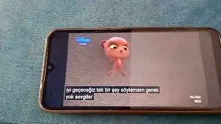 kaplan mucizesi mucize uğur böceği ile kara kedi mor kaplan