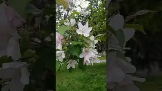 И это время называется весна