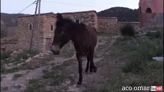 أمزميز القرية الا مبالية في منطقة الحوز.