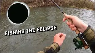 ECLIPSE! HOW DID THE FISH REACT?
