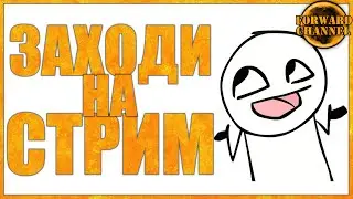 У ПЯТИ ДИКОБРАЗОВ ЕСТЬ ВЛАД ПАНОВ🔸CROSSOUT