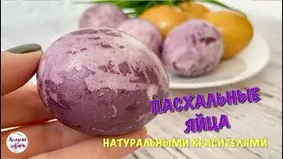 POPULAR Easter Egg Dyeing with NATURAL Dyes! 🐣🐣