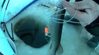 Рыбалка на амуре 10.03.24