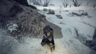 Radahn! I'm Coming After You!! - Elden Ring First Playthrough Part 20