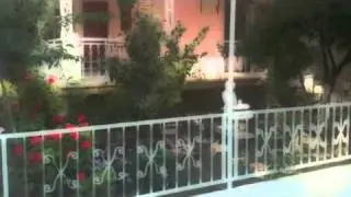 Aktur in November