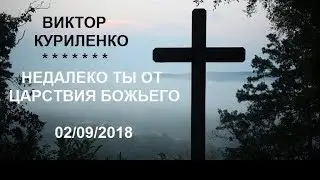 Виктор Куриленко - Недалеко ты от Царствия Божьего
