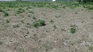 Провал чи успіх?