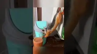 Так удобней #shorts #рекомендации #приколы #2022 #ржачныевидео