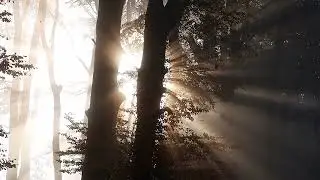 Музыкальные зарисовки.