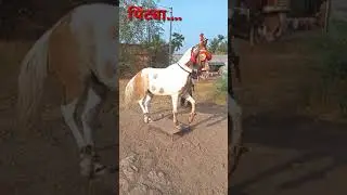 Birudev sathe