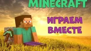 Играю в майн с другом на анархие