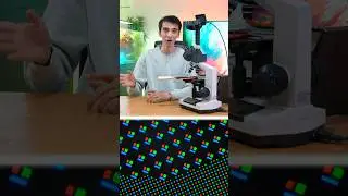 How does the self-disguising camera work?