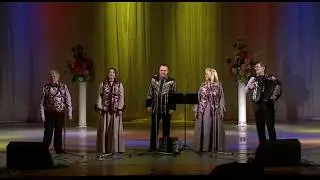Одинокая ветка сирени. Концерт в Челябинске. Январь 2019г.