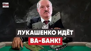 Лукашенко в панике. Танки у границы. Демсилы заняты сами собой.