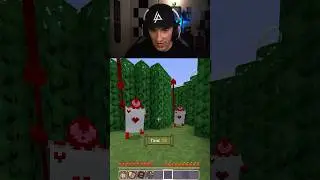 Alice In Wonderland In Minecraft