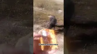 Так бывает