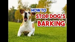 How to STOP Dog Barking at others | Stop Dog Barking