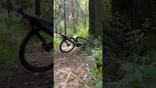 Even bicycles don’t like Mondays!  #mtb