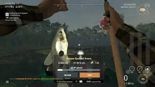 Fishing Planet   Amazonian Maze   Unique Spotted Aracu