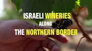 Wine on the line