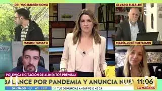 Pepa Hoffman acusa a alcalde Tamayo de querer un golpe de estado contra Piñera