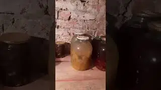 14 июля 2023 г.