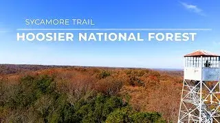 Hoosier National Forest Sycamore Trail