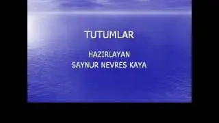 Tutumlar