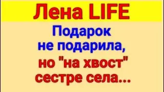 Лена LIFE. Обзор влогов  22 08 2024 Лена